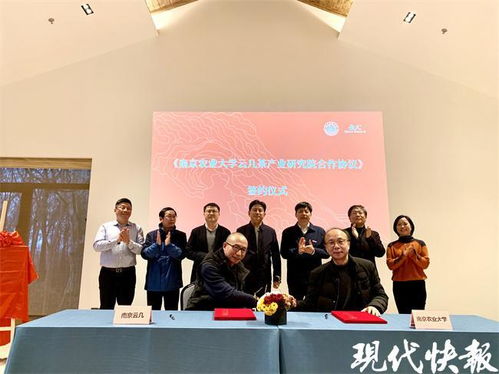 茶葉也能做親子鑒定？南農大突破性技術即將在南京落地推廣
